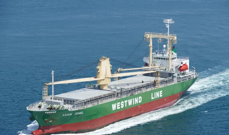 ASIAN JEWEL General Cargo IMO 9424821 photo 10