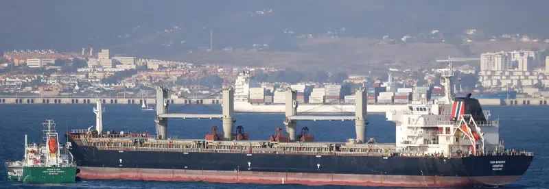 THOR ACHIEVER Bulk Carrier IMO 9424857