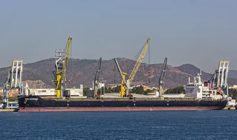 THOR ACHIEVER Bulk Carrier IMO 9424857 photo 3