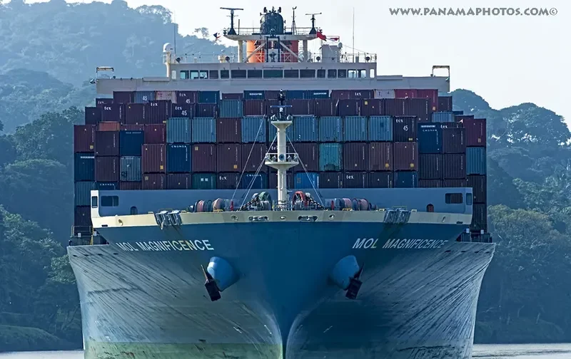 ONE MAGNIFICENCE Container Ship IMO 9424900 photo 2