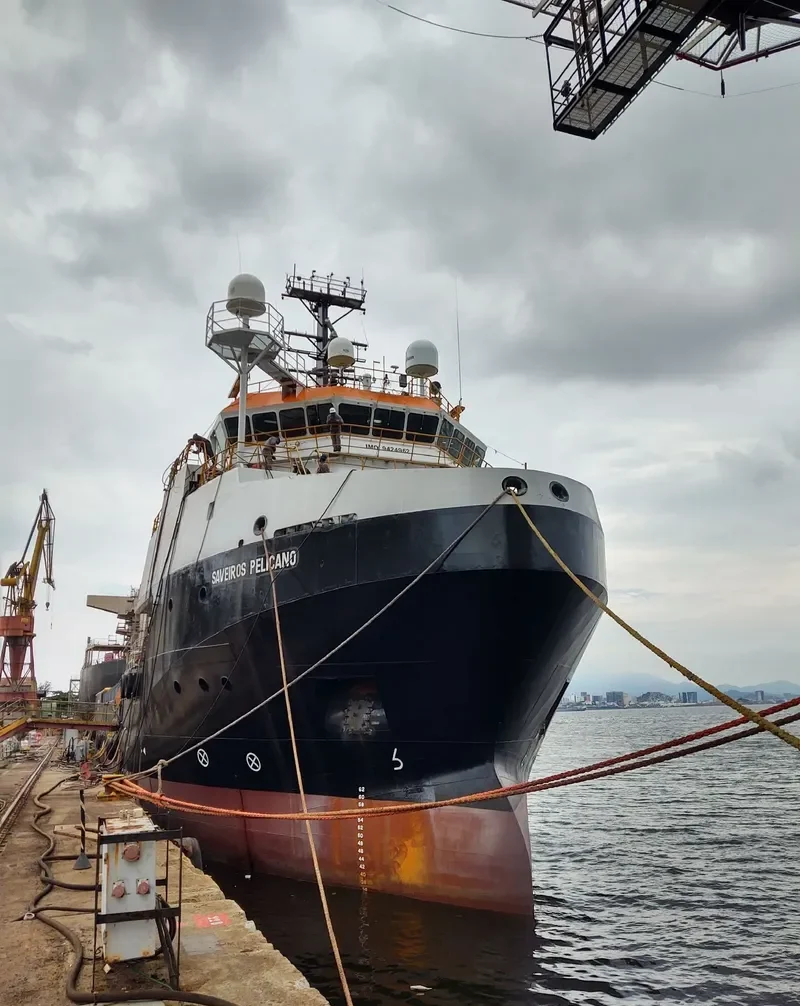 SAVEIROS PELICANO Offshore Vessel IMO 9424962 photo 3