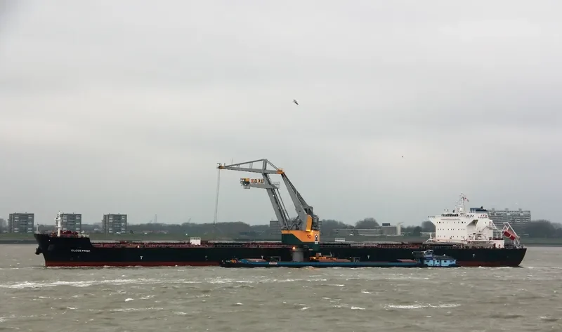 IOLCOS PRIDE Bulk Carrier IMO 9425124 photo 2
