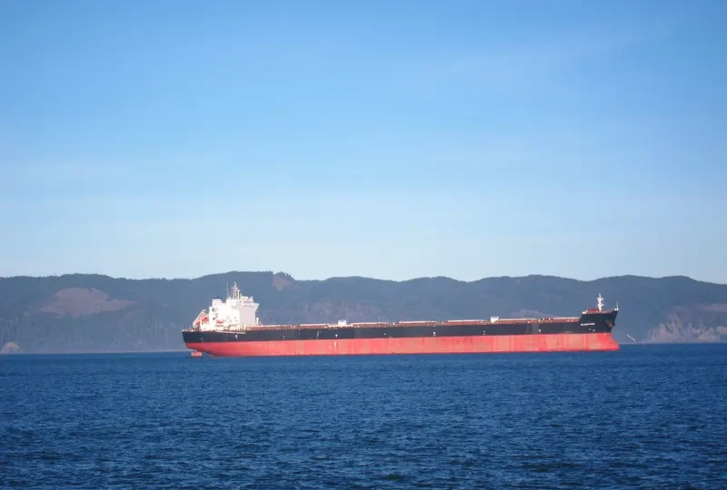IOLCOS PRIDE Bulk Carrier IMO 9425124 photo 6
