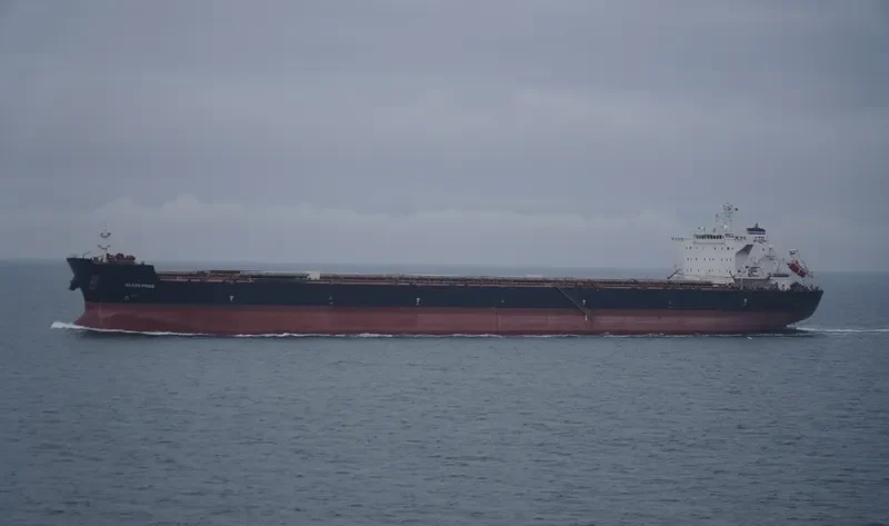 IOLCOS PRIDE Bulk Carrier IMO 9425124 photo 7