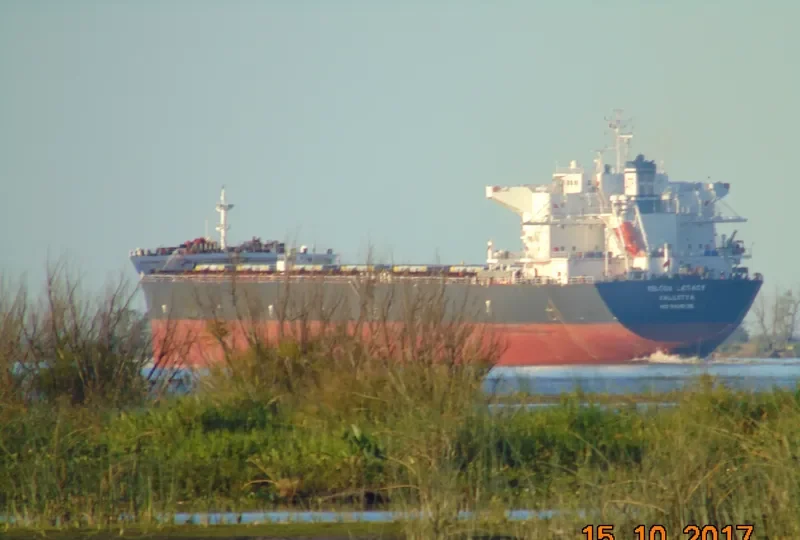 IOLCOS LEGACY Bulk Carrier IMO 9425136