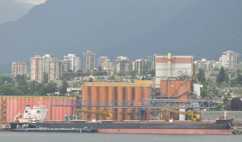 IOLCOS LEGACY Bulk Carrier IMO 9425136 photo 7
