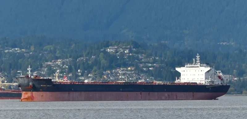 IOLCOS LEGACY Bulk Carrier IMO 9425136 photo 9