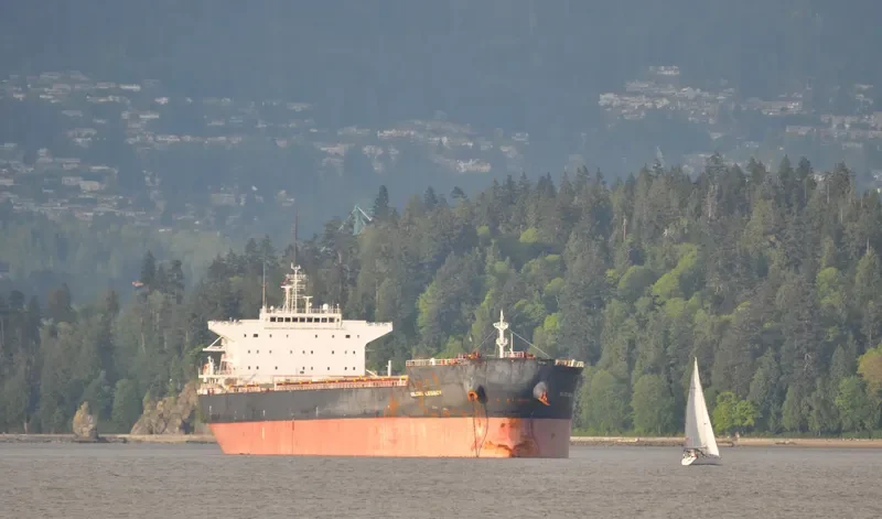 IOLCOS LEGACY Bulk Carrier IMO 9425136 photo 10