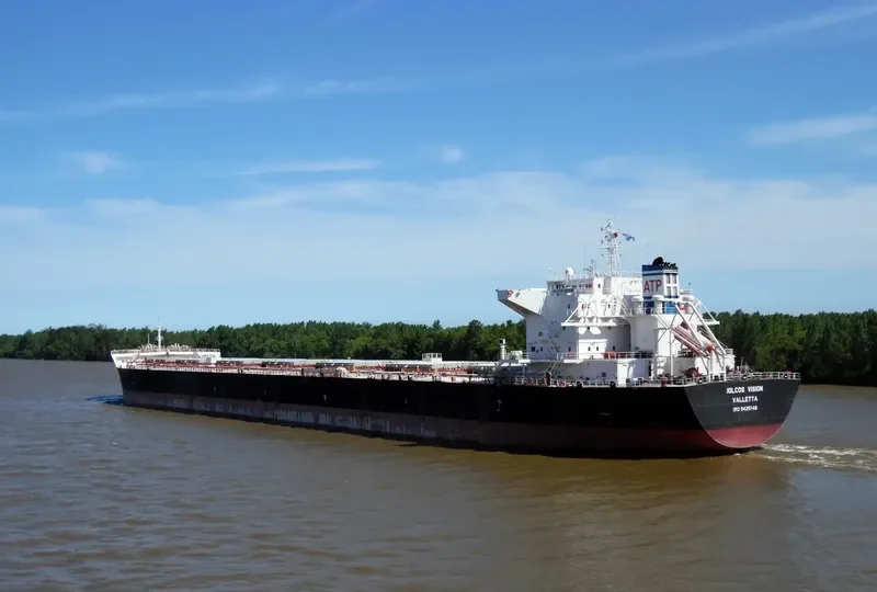 IOLCOS VISION Bulk Carrier IMO 9425148 photo 2