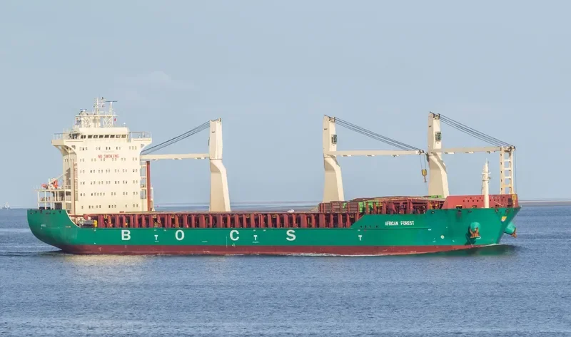AFRICAN FOREST General Cargo IMO 9425162 photo 2