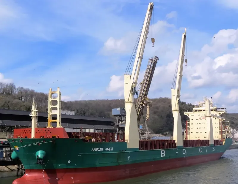 AFRICAN FOREST General Cargo IMO 9425162 photo 4