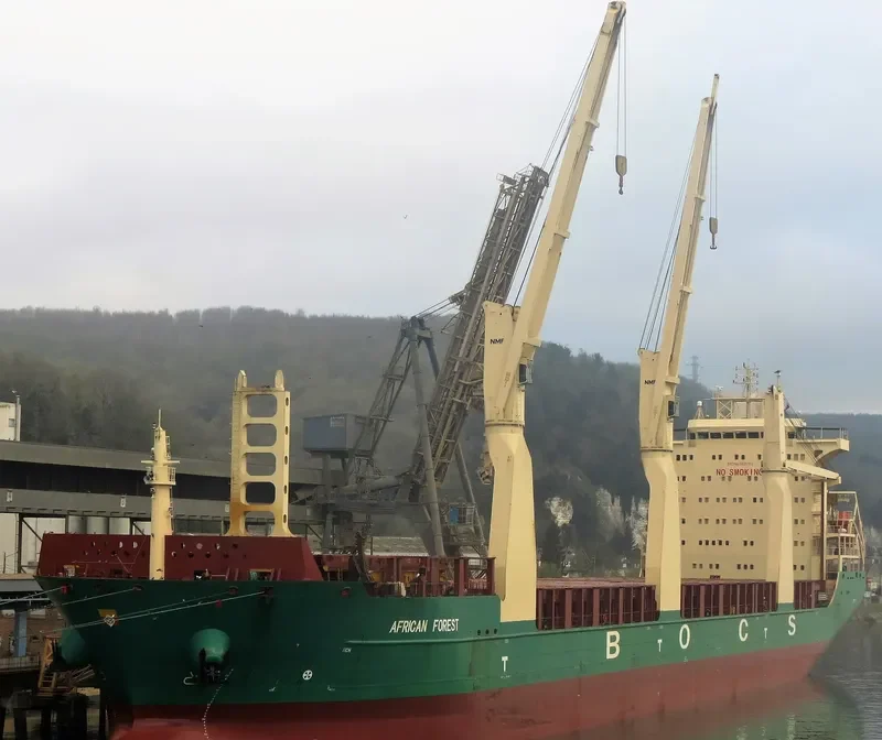 AFRICAN FOREST General Cargo IMO 9425162 photo 5