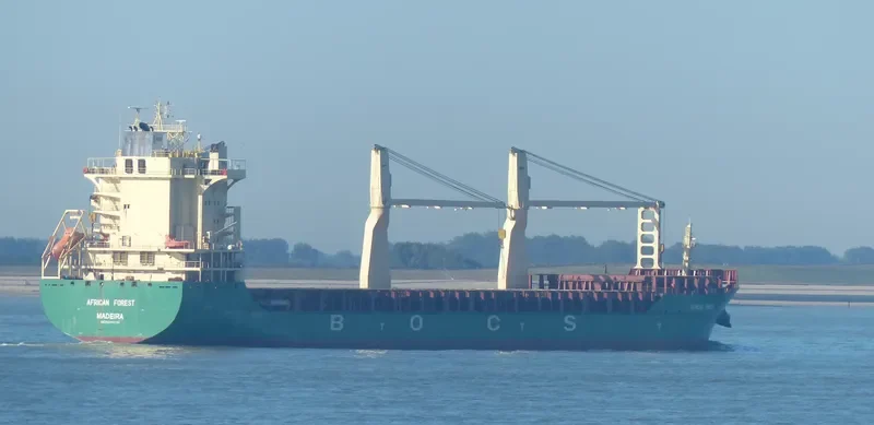 AFRICAN FOREST General Cargo IMO 9425162 photo 7