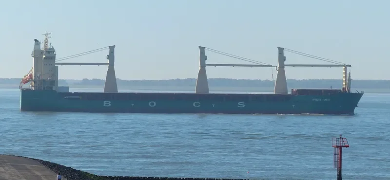 AFRICAN FOREST General Cargo IMO 9425162 photo 8