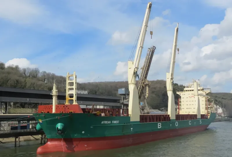 AFRICAN FOREST General Cargo IMO 9425162 photo 9