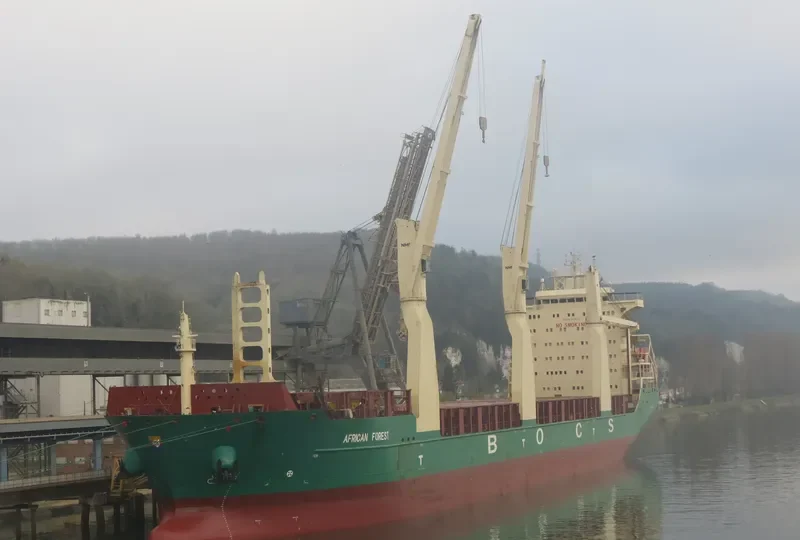 AFRICAN FOREST General Cargo IMO 9425162 photo 10