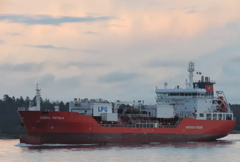 CORAL PATULA General Cargo IMO 9425241 photo 3