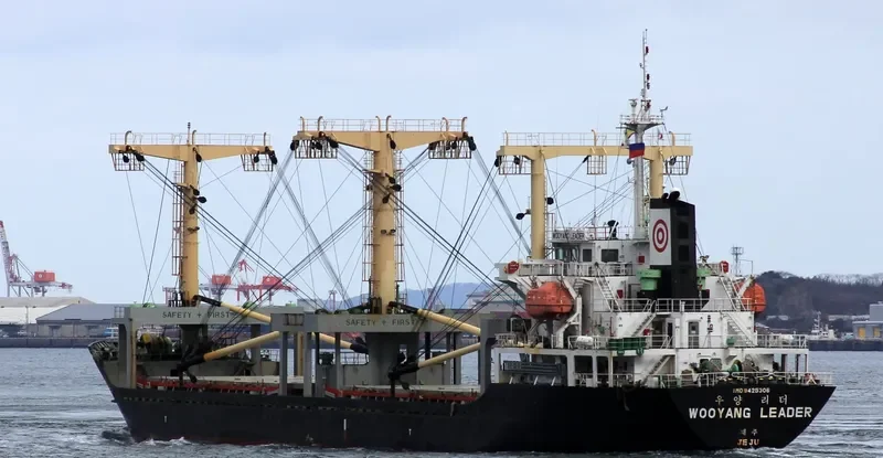 WOOYANG LEADER General Cargo IMO 9425306 photo 7