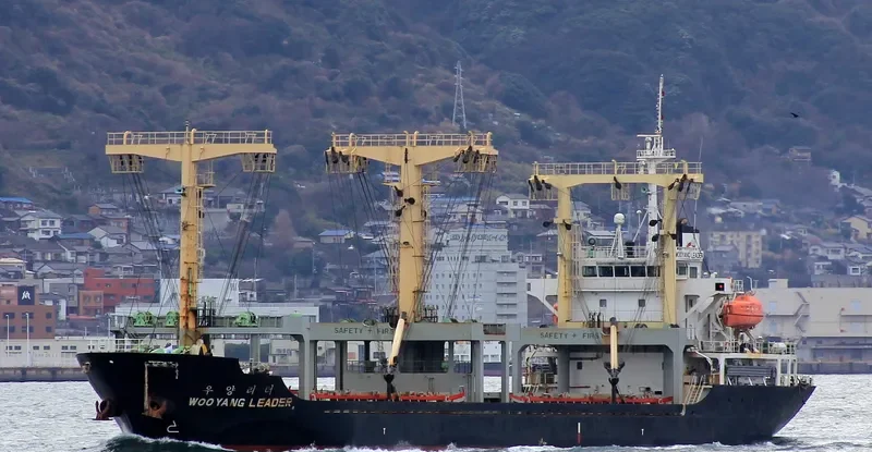 WOOYANG LEADER General Cargo IMO 9425306 photo 9