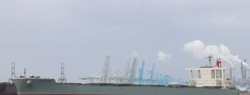 CAPE PEONY Bulk Carrier IMO 9425447 photo 3