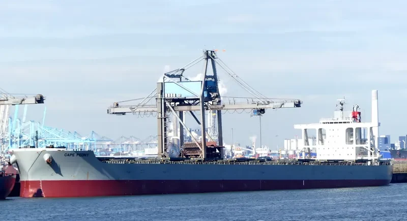 CAPE PEONY Bulk Carrier IMO 9425447 photo 4