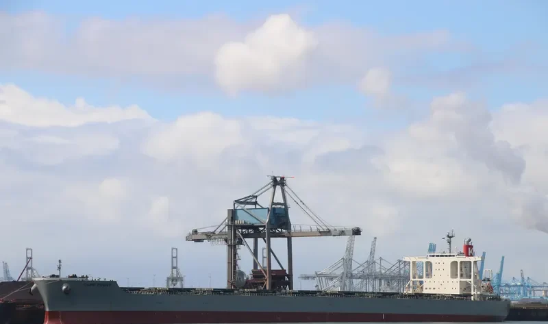 CAPE PEONY Bulk Carrier IMO 9425447 photo 5