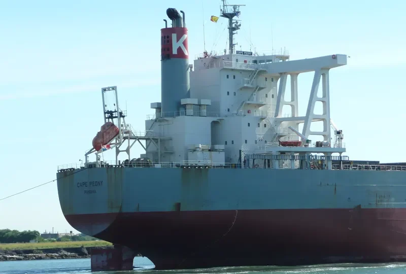 CAPE PEONY Bulk Carrier IMO 9425447 photo 7