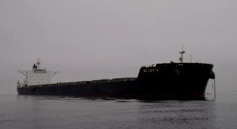 NEA IONIA Bulk Carrier IMO 9425461