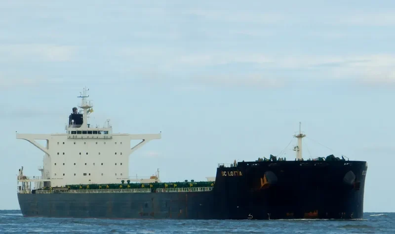 NEA IONIA Bulk Carrier IMO 9425461 photo 10