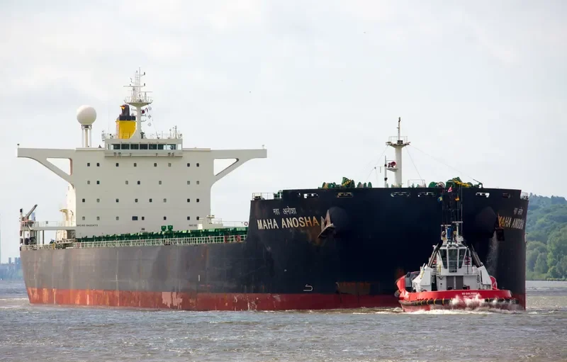 MAHA ANOSHA Bulk Carrier IMO 9425473 photo 7