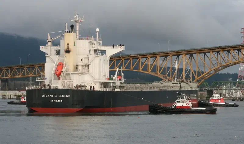ATLANTIC LEGEND Bulk Carrier IMO 9425667 photo 6