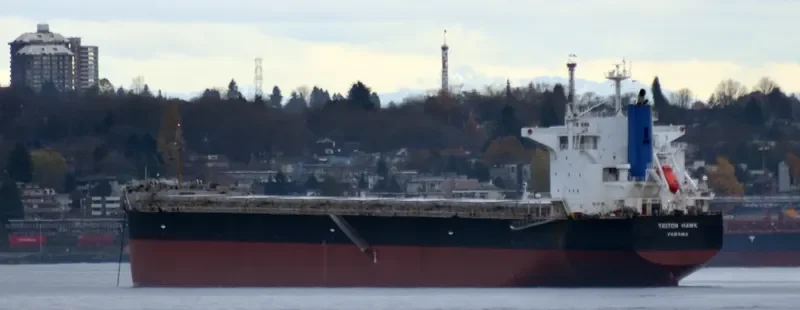 TRITON HAWK Bulk Carrier IMO 9425679