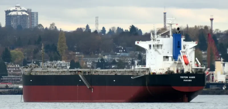 TRITON HAWK Bulk Carrier IMO 9425679 photo 2
