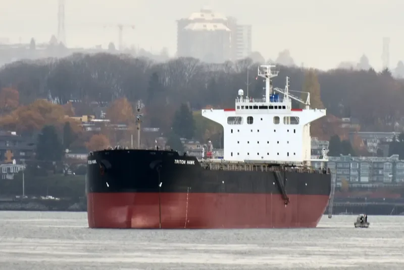 TRITON HAWK Bulk Carrier IMO 9425679 photo 4