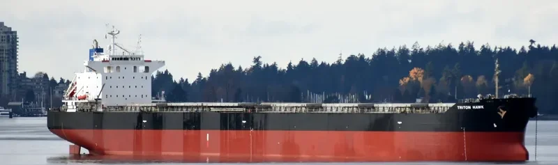 TRITON HAWK Bulk Carrier IMO 9425679 photo 5