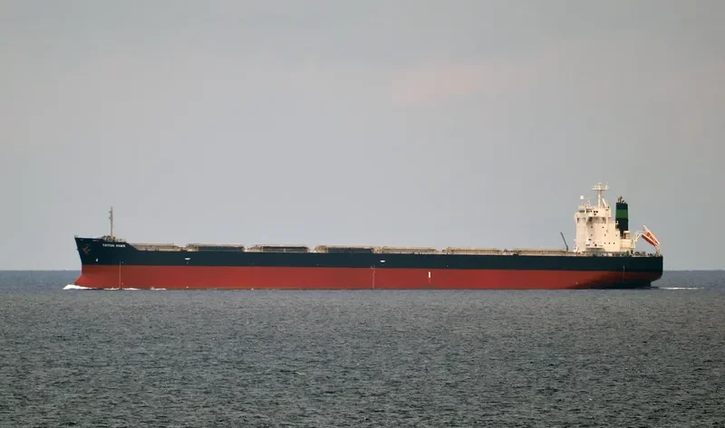 TRITON HAWK Bulk Carrier IMO 9425679 photo 9