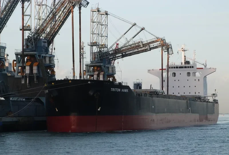 TRITON HAWK Bulk Carrier IMO 9425679 photo 10