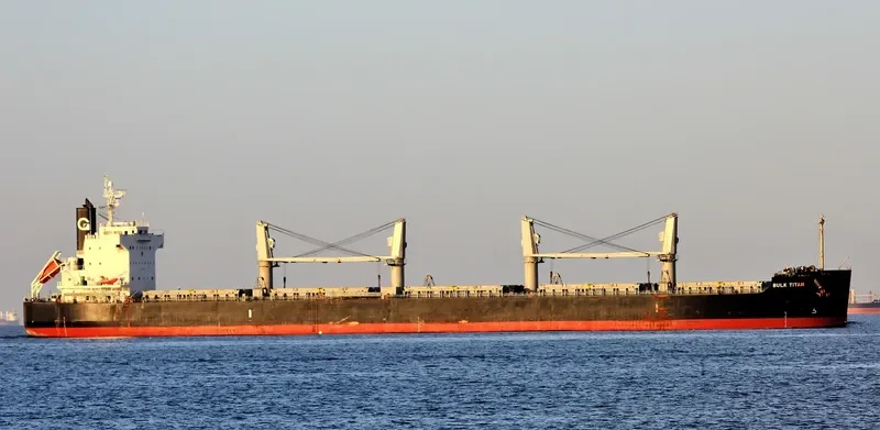 BULK TITAN Bulk Carrier IMO 9425758 photo 2