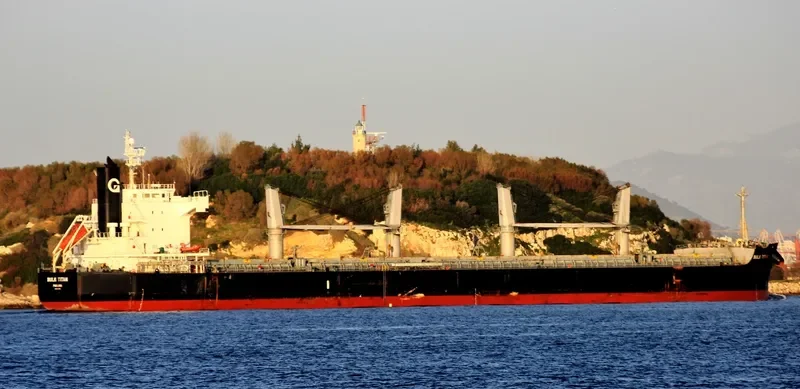 BULK TITAN Bulk Carrier IMO 9425758 photo 3