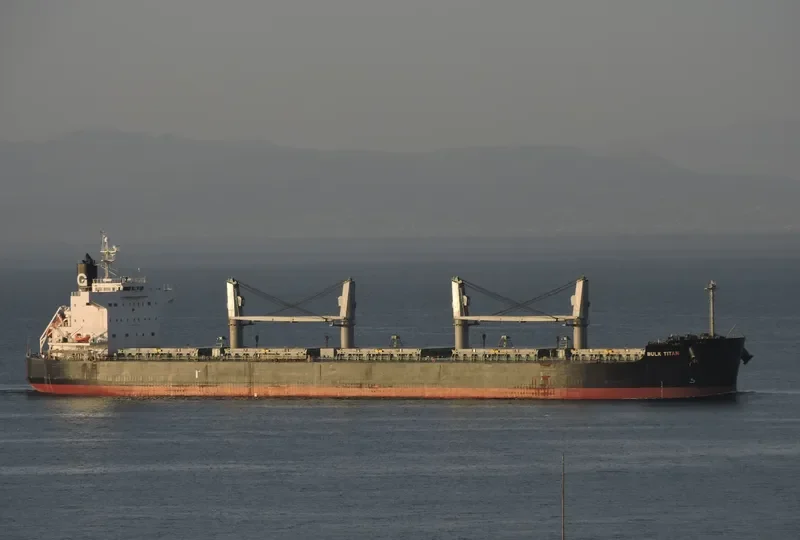 BULK TITAN Bulk Carrier IMO 9425758 photo 8