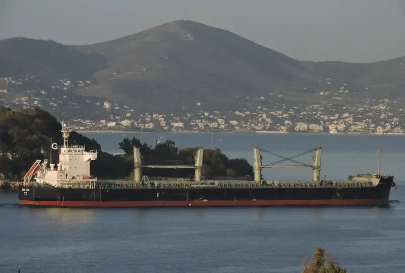 BULK TITAN Bulk Carrier IMO 9425758 photo 9