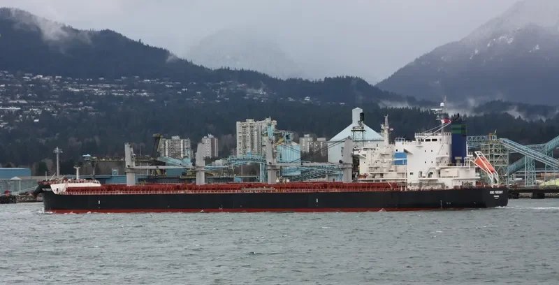 ANETOS Bulk Carrier IMO 9425760 photo 4