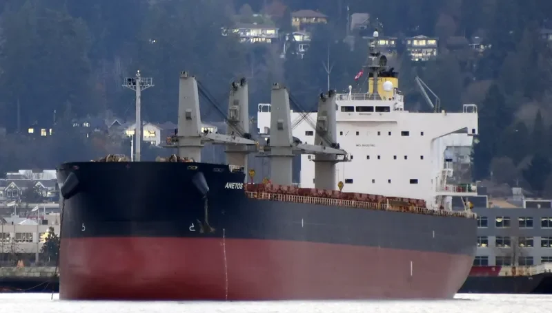 ANETOS Bulk Carrier IMO 9425760 photo 10
