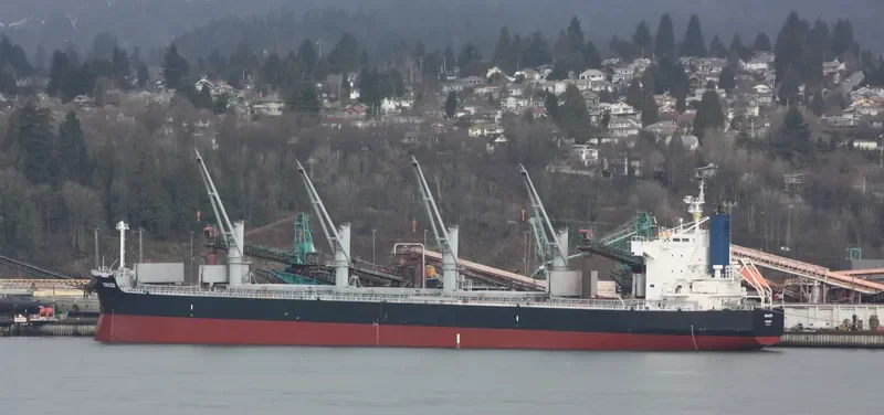 IGNAZIO Bulk Carrier IMO 9425784 photo 6