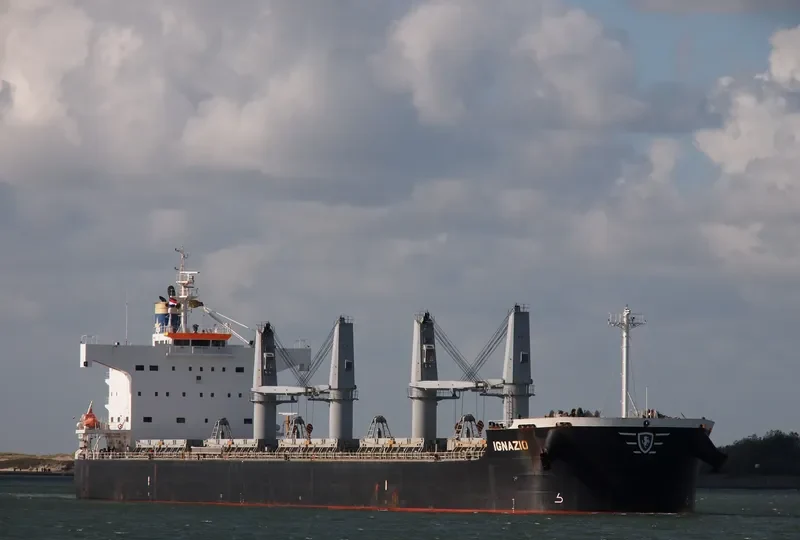 IGNAZIO Bulk Carrier IMO 9425784 photo 9