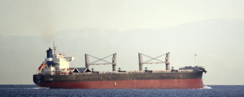 NEW SPIRIT Bulk Carrier IMO 9425801 photo 2