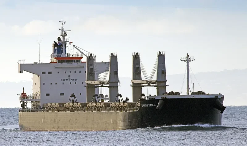 NEW SPIRIT Bulk Carrier IMO 9425801 photo 3