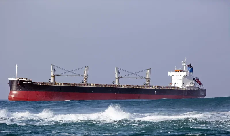 NEW SPIRIT Bulk Carrier IMO 9425801 photo 4