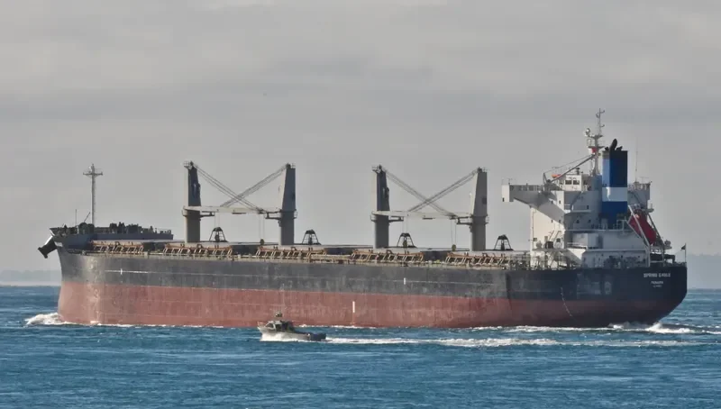 NEW SPIRIT Bulk Carrier IMO 9425801 photo 5