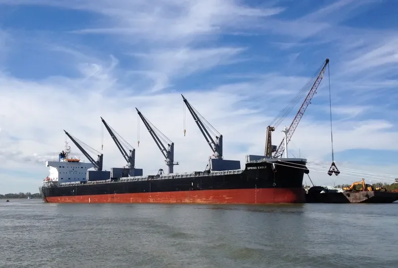 NEW SPIRIT Bulk Carrier IMO 9425801 photo 7
